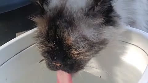 Drinking a little water :)