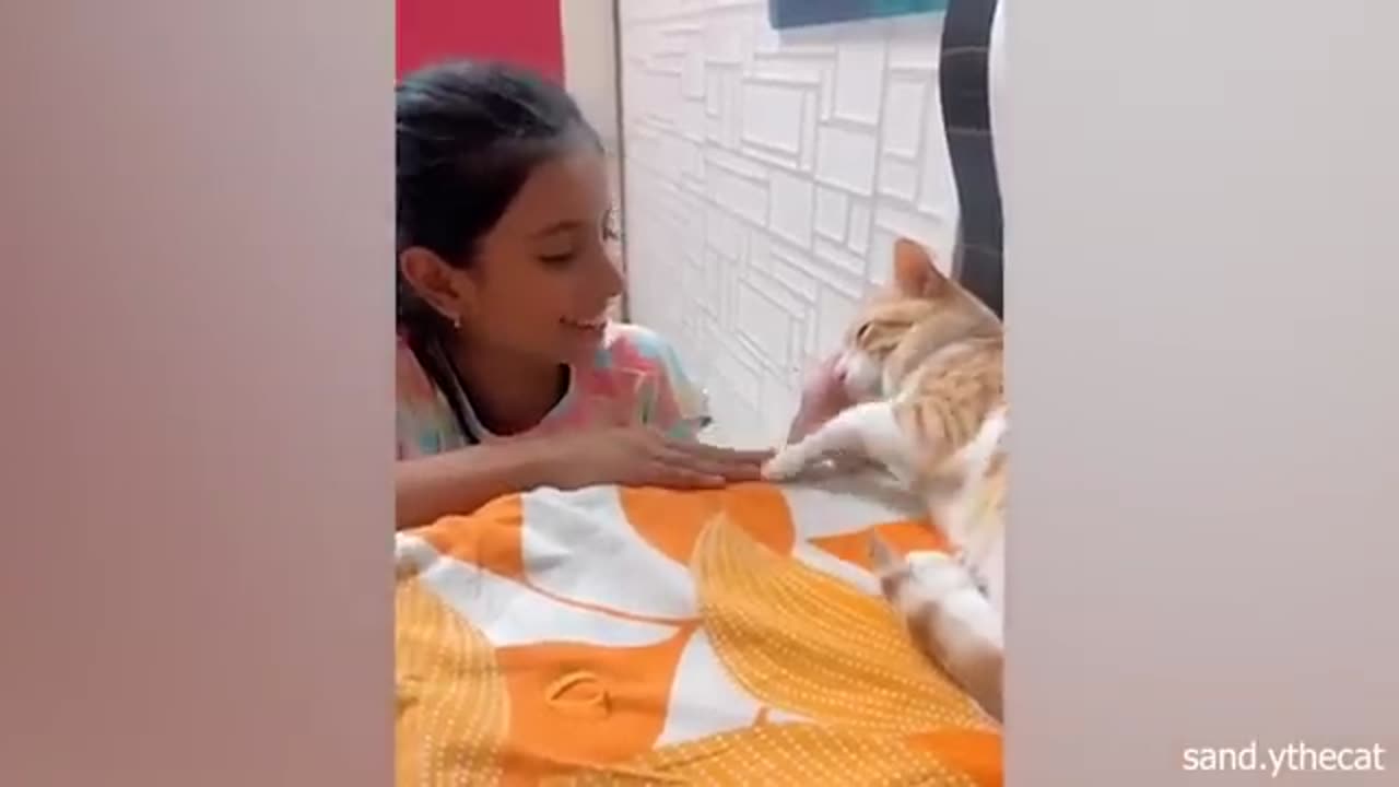 Time spent with cats is never wasted Cute ways cats show their love for owner