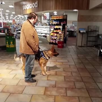 Service dog public access!