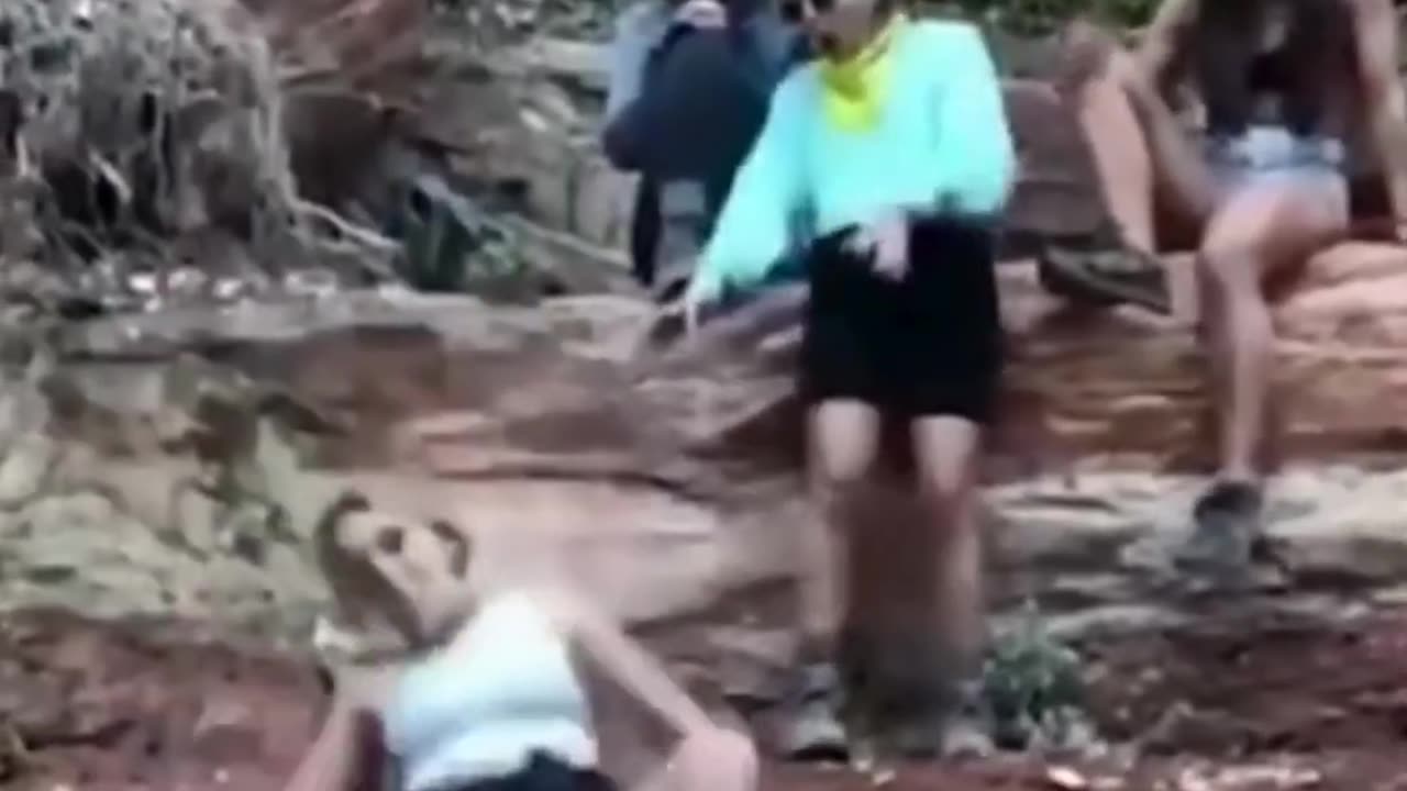 Laughter is my GAME #521 😂😂😂 #funny #fails #viral