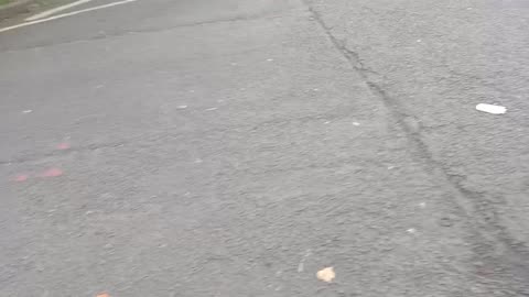 Walkie talkie: cyclists dodging red lights