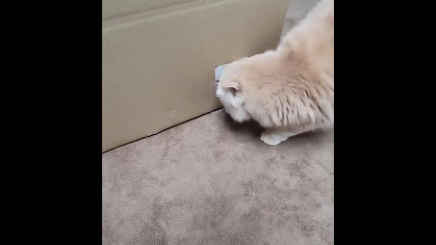He escapes like a liquid