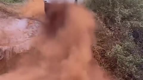 Car toyota