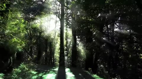Nature Shots | Sunrise | Beauty of Nature | Rare Nature views | Volcano | Forest | Wild Life