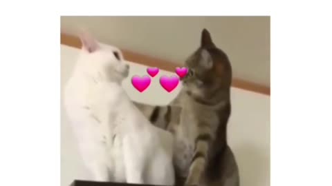 Love in an instant 🤣
