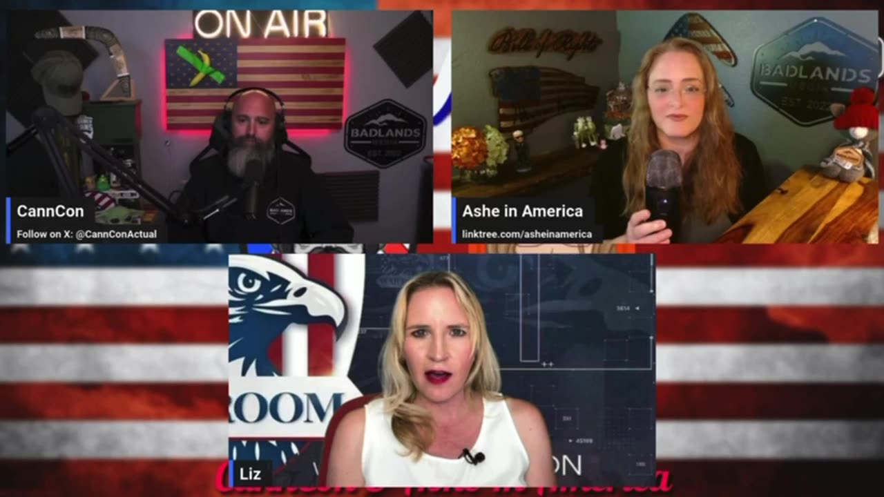 Liz Harrington: Biden is Irrellevant & No Longer Usefull to Corrupt MSM