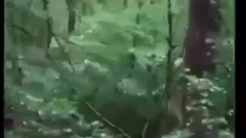 دعاء الأحبة الكرام