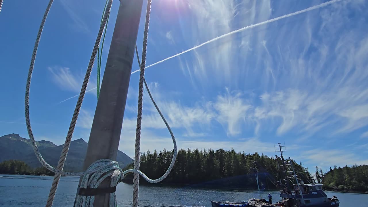 All of a sudden, Blue Skies no more..... Toxic GeoEngineering Operations