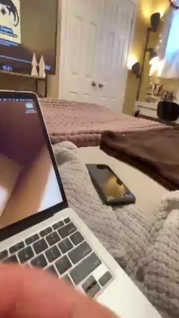 Funny Animals Videos