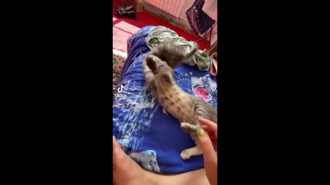 Can't control your Laugh - Challenge