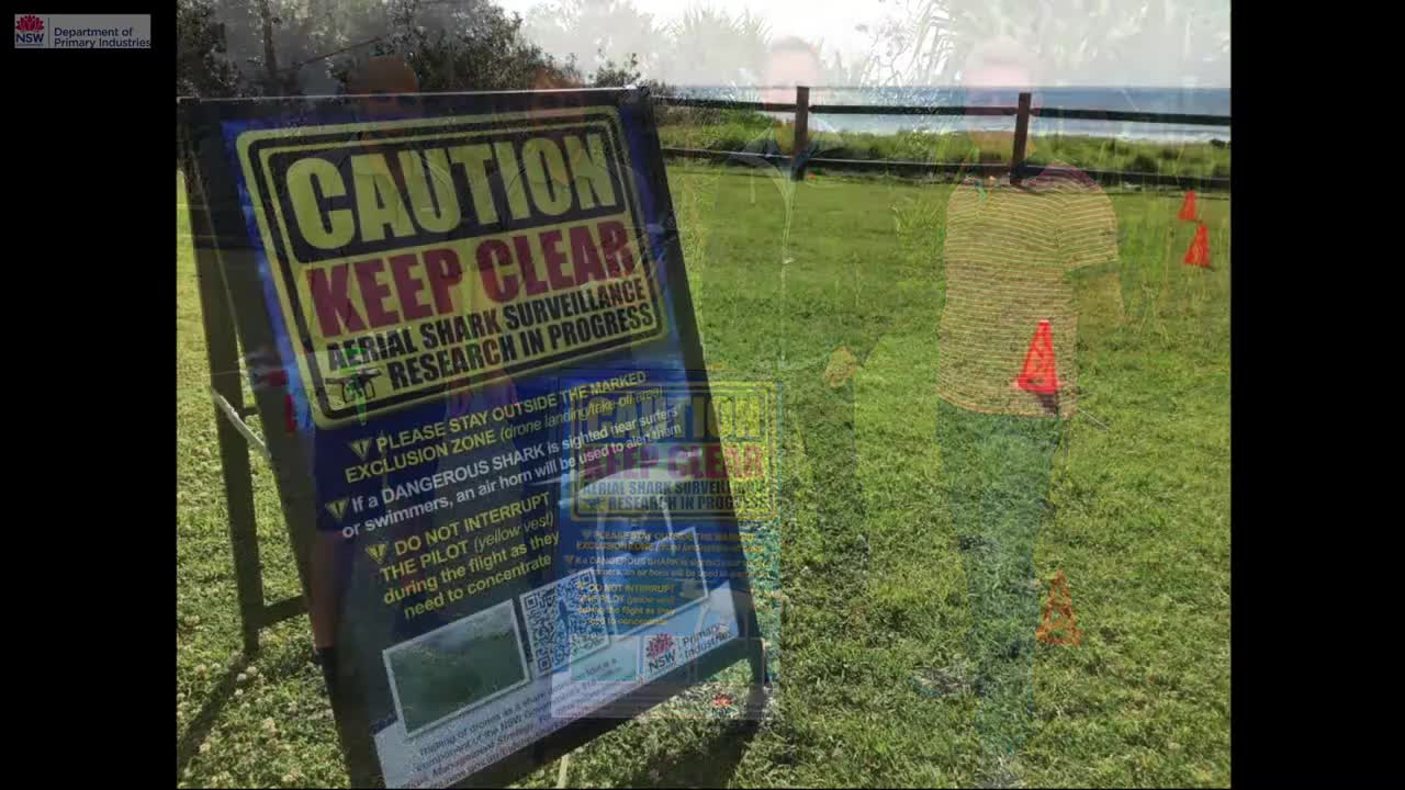 Drones detect sharks at Lennox Head, NSW