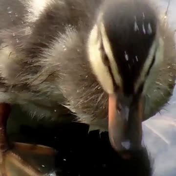 Relax and Renew: How Relaxing This is for the Soul? Volume 140