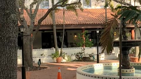 Chill spot Florida