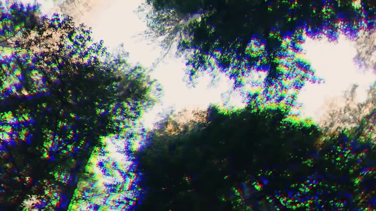Dua Lipa - Last Dance (Official Video)