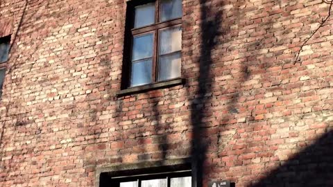 AUSCHWITZ: The Complete DISTURBING Tour | WARNING: Actual footage