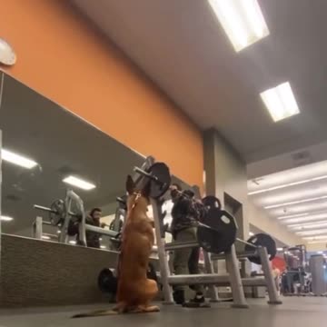 News Break. I'm with you