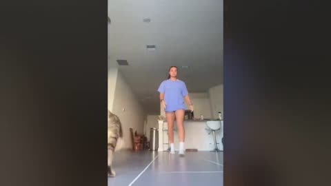 silliest and funniest cats videos