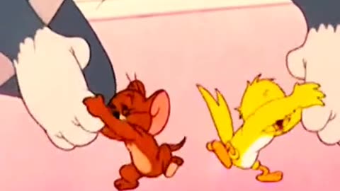 tomandjerry