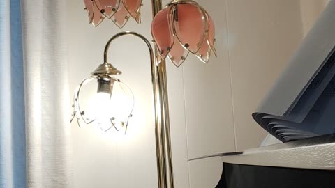 The tune from the movie Amelie