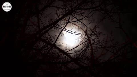 Dark Ambient Music - The Crypt Horror