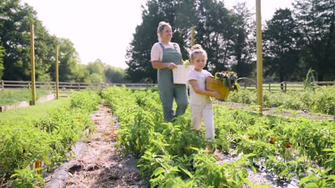 CSA Farmer Lauren Talks About the Importance of Cultivating Community