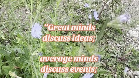 Eleanor Roosevelt 💕: Quote