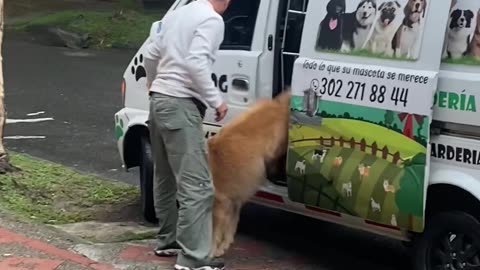 Good Boy Always Remembers His Lunch Box