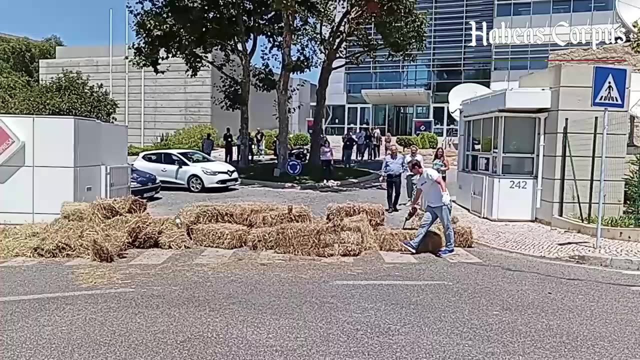 Habeas Corpus largou fardos de Palha à Sociedade Irmãos Costa/Sic