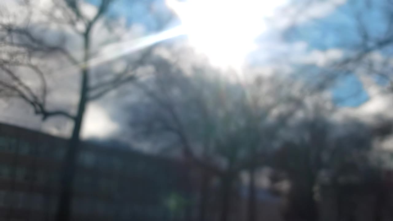 Sun middle of the day.