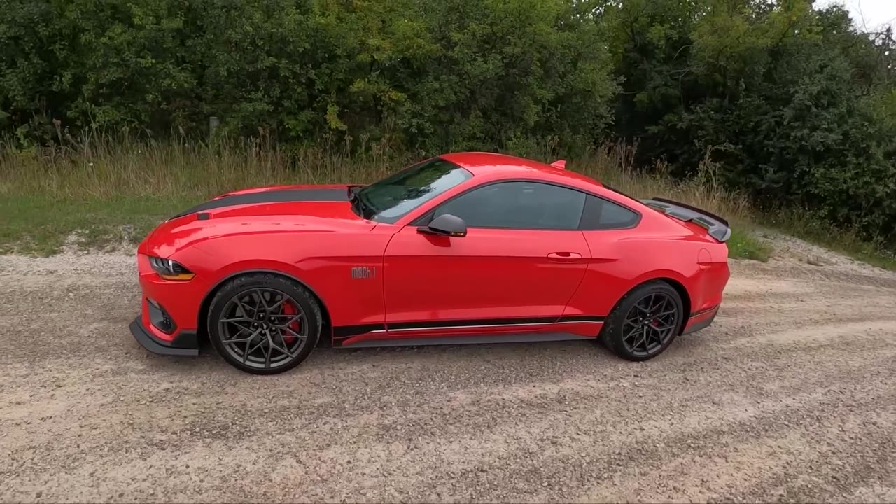 Ford Mustang 2022 #musclecarmadness#speet#v8power#ponycarpride#fastcars#classicride#raceready#gtlife