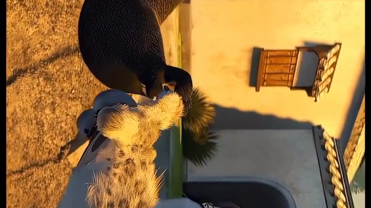 Kung Fu Panda 🔥 Follow me for more #kungfupanda #dragonwarrior #movie #edit #fyp #fypシ #viral #parati