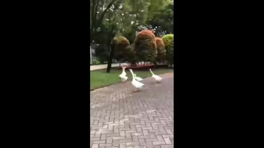 Random funny people
