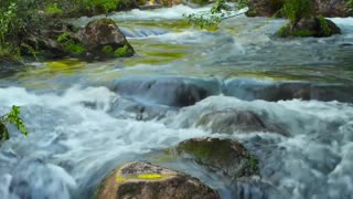 Peaceful Forest River | Relaxing River Sounds | 285 Hz Meditation Frequency | Solfeggio Tone