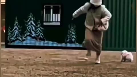 Funny animals