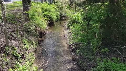Nature sounds and sights
