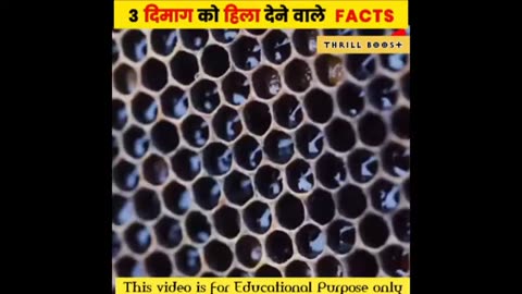 Fact का Double Dose -- #facts 2023