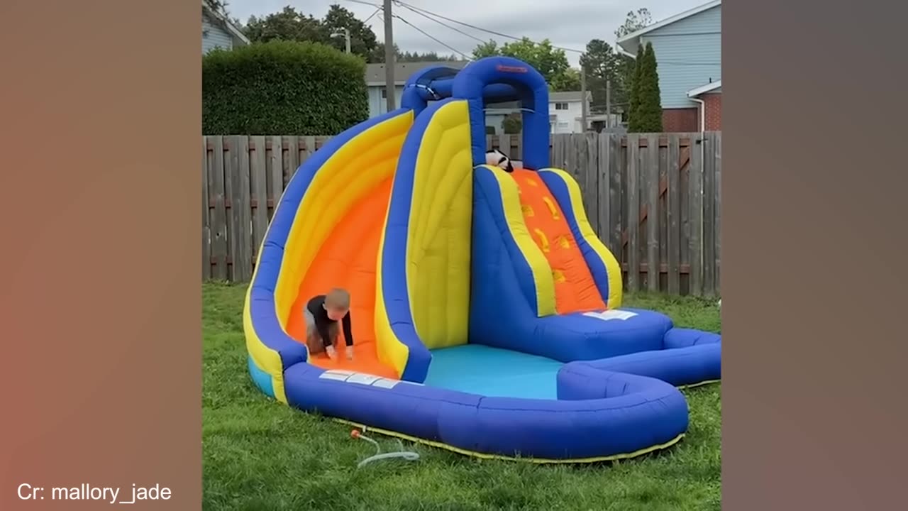Funniest Animal Videos 2024
