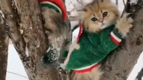 So cute!