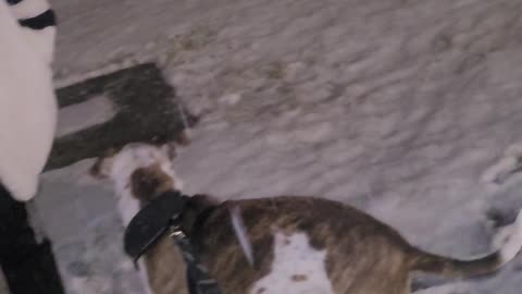 Oklahoma Snow