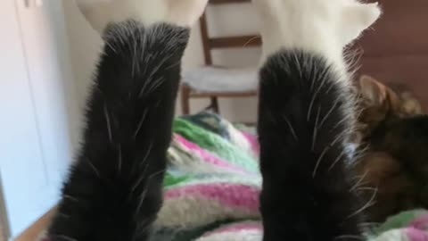 Big toe bean stretch!