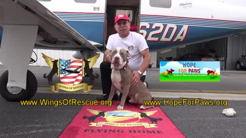 Chance - The Flight Home!!! Join me at the cockpit for an amazing ride. Please share.