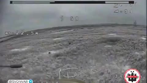 Russian Soldier Pretends to be a Bush
