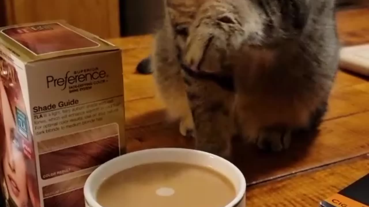Wait, what is this