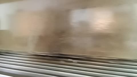 Wall's cleaning