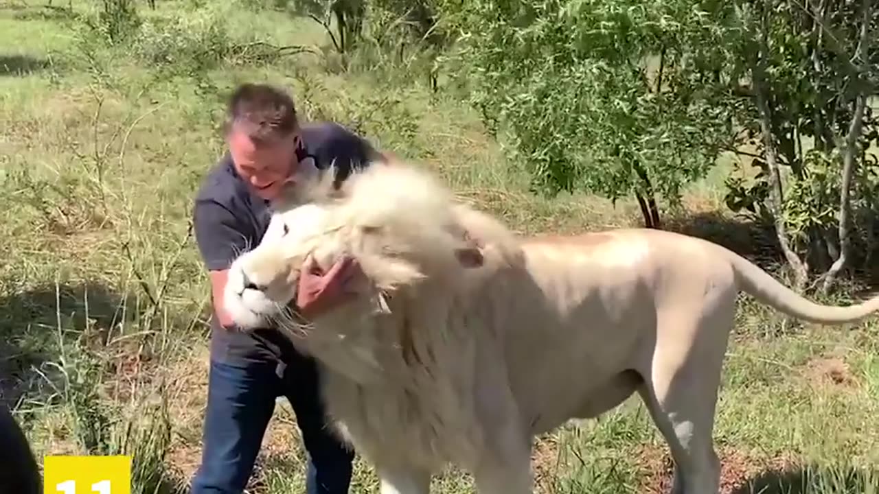 Animals 🐴 videos