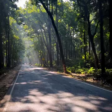 Gr liton Natural Clips, Natural Video Clips # - 54