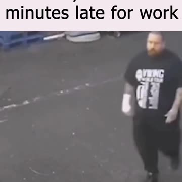 No Time For You, Feathered Friend! 😂😂😂 #funny #memes #shorts