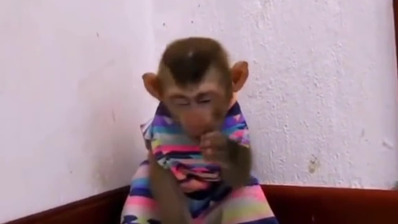 Sorry 😎😎😎😎 dude