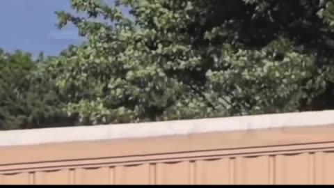 Footage of Shooter on the roof Trump Rally