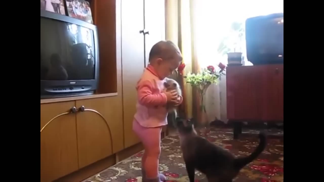 Mama Cat Takes Back Crying Kitten From Toddler